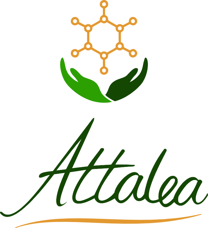 Attalea